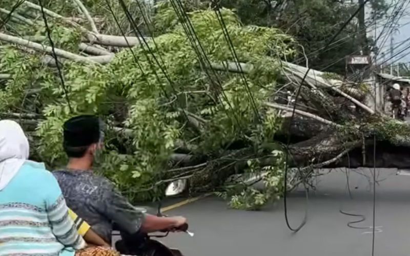 Edukasi Digital Penting, Waspada Hoaks dan Privasi di Era Informasi