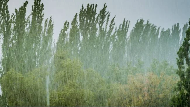 Waspada, Jabodetabek Diprediksi Diterjang Hujan Lebat Akhir Januari 5 Waspada, Jabodetabek Diprediksi Diterjang Hujan Lebat Akhir Januari